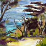South Coast Australia