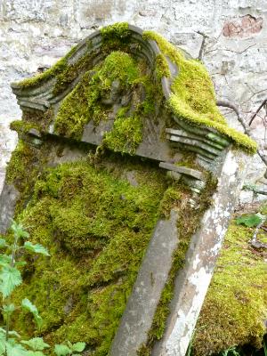 Mossy Tombstone Scotland