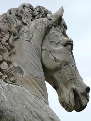 Roman Horse Italy