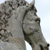 Roman Horse Italy