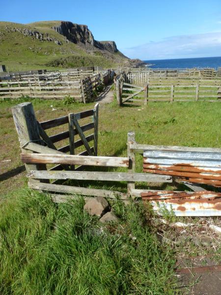 Farm Fences