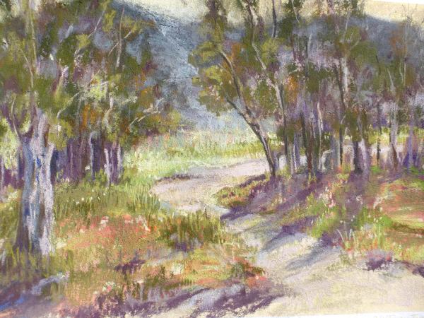 San Pasqual Valley 9x12