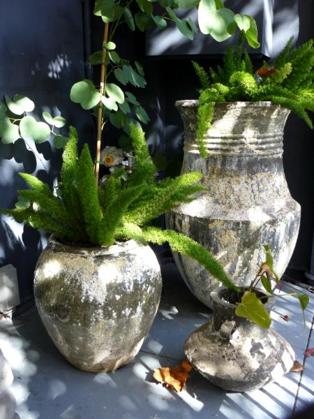 Pots on porch Sydney Australia