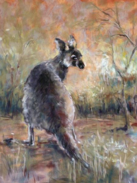 Wallaby