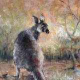 Wallaby