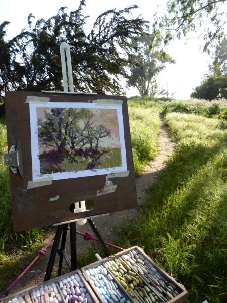 My pastel plein air paintings